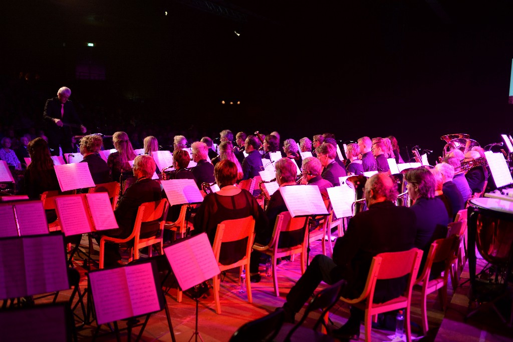../Images/Jubileumconcert 100 jaar Harpe Davids 089.jpg